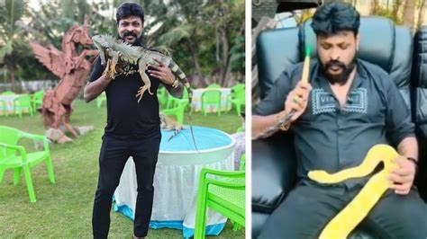 Forest officials recover exotic animals from farmhouse of casino .